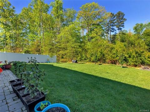 17525 Graffis Ter, Moseley, VA 23120 photo 25