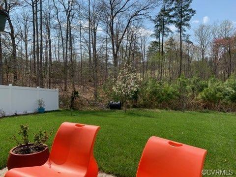 17525 Graffis Ter, Moseley, VA 23120 photo 41