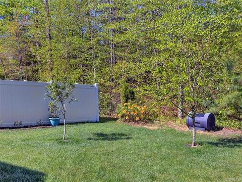 17525 Graffis Ter, Moseley, VA 23120 photo 29
