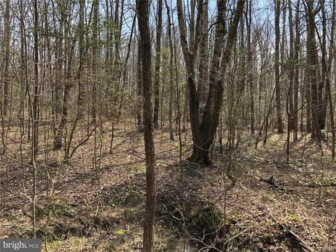4405 Willann Ln, Partlow, VA 22534 photo 1