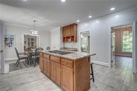3811 Dunleith Ter, Midlothian, VA 23113 photo 29