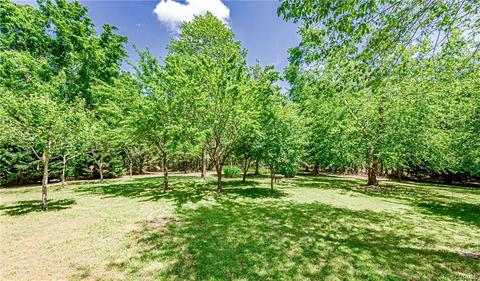 12931 Spring Run Rd, Midlothian, VA 23112 photo 44