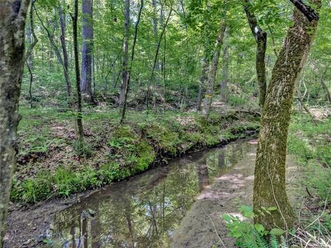 357 Belle Rd, Dillwyn, VA 23936 photo 17