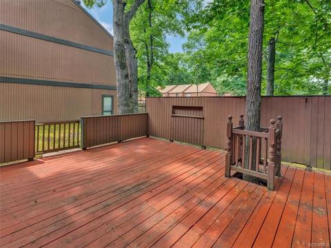 11636 E Briar Patch Dr, Midlothian, VA 23113 photo 20