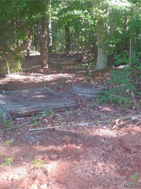 193 Riverview, Bumpass, VA 23024 photo 6