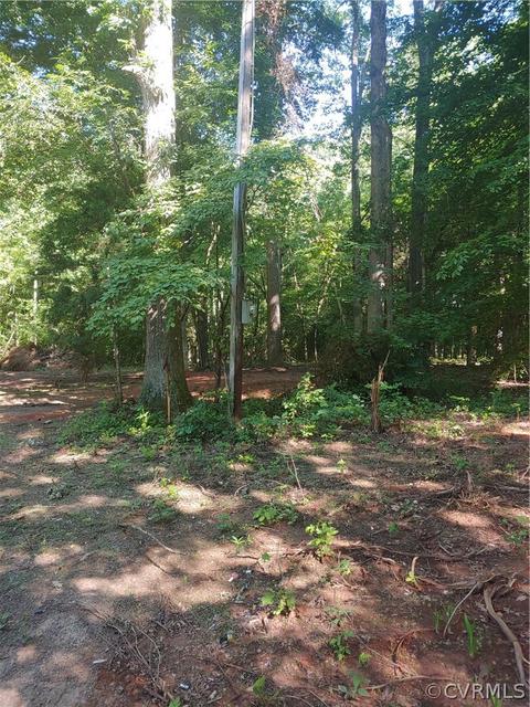 193 Riverview, Bumpass, VA 23024 photo 5