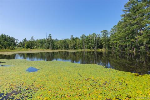 727 Eanes Rd, Kenbridge, VA 23944 photo 35