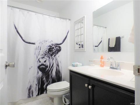 3067 Green Level Rd, King William, VA 23086 photo 19