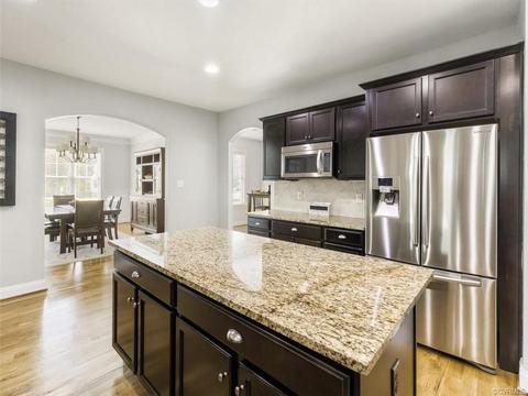 17536 Tree View Ct, Moseley, VA 23120 photo 16