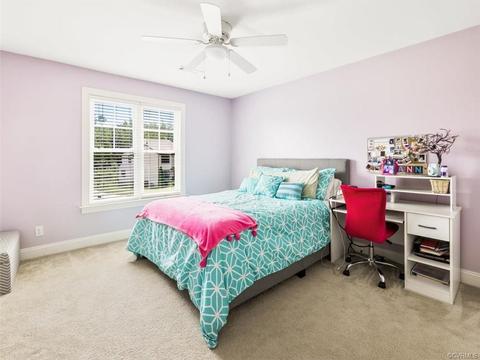 17536 Tree View Ct, Moseley, VA 23120 photo 27