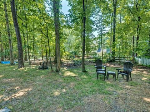 14601 Mill Spring Cir, Midlothian, VA 23112 photo 19