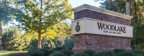 6407 Walnut Bend Dr, Midlothian, VA 23112 photo 45
