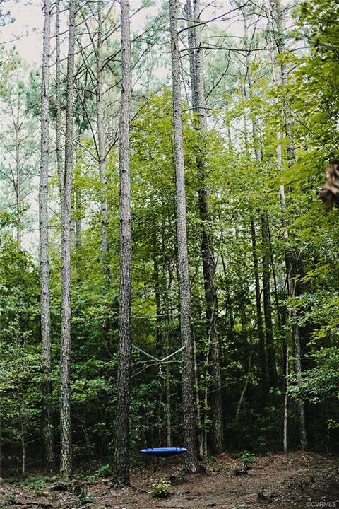 2614 E River Rd, King William, VA 23086 photo 30