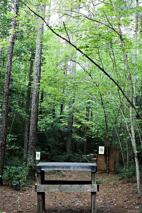 2614 E River Rd, King William, VA 23086 photo 32