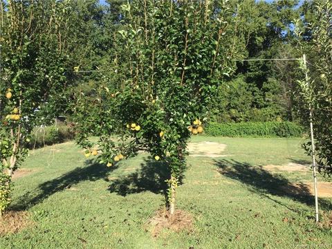 10294 Woods Cross Rd, Gloucester, VA 23061 photo 29