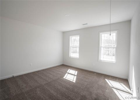 2842 Preston Park Dr, Sandy Hook, VA 23153 photo 29