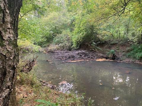 17359 Level Dr, Doswell, VA 23047 photo 28