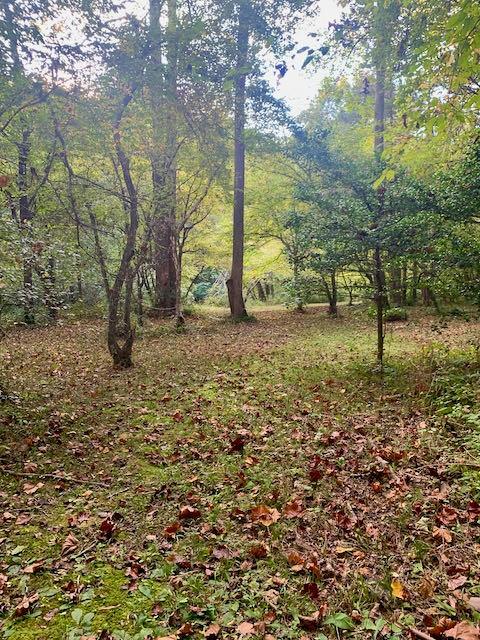 17359 Level Dr, Doswell, VA 23047 photo 31