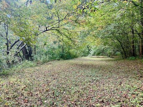 17359 Level Dr, Doswell, VA 23047 photo 29