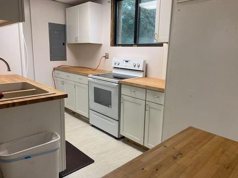 17359 Level Dr, Doswell, VA 23047 photo 37