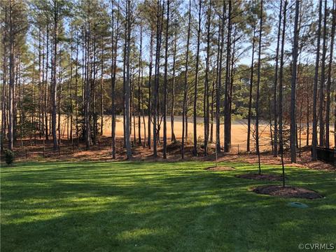 11541 Pine Needles Dr, Providence Forge, VA 23140 photo 27