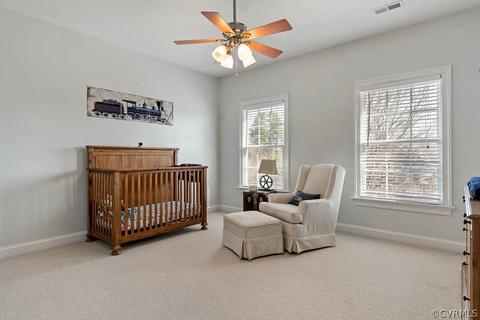 4312 Wilcot Dr, Midlothian, VA 23113 photo 28