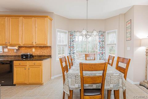 11643 Explorer Dr, Midlothian, VA 23114 photo 10