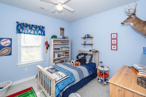 343 Spring Pleasant Dr, King William, VA 23086 photo 40