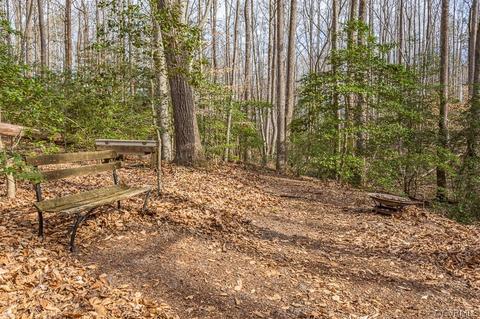 343 Spring Pleasant Dr, King William, VA 23086 photo 18