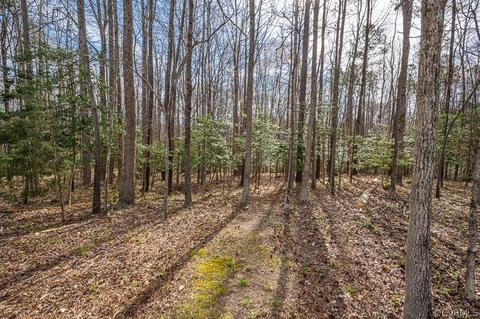 343 Spring Pleasant Dr, King William, VA 23086 photo 15