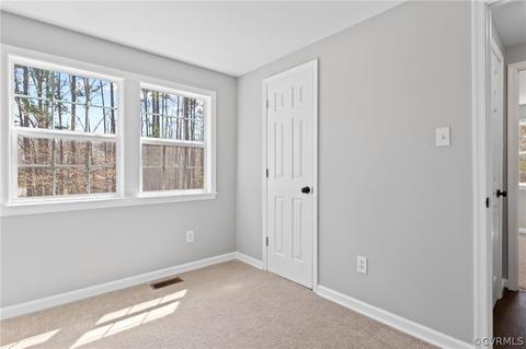 14620 Madison Rd, Dewitt, VA 23840 photo 27
