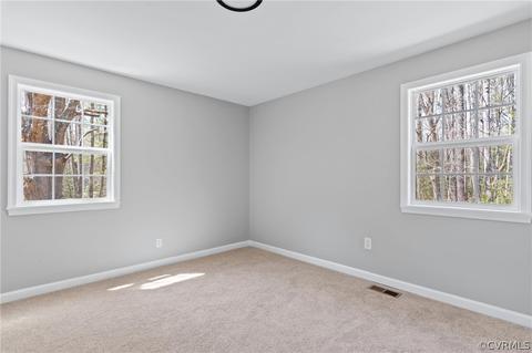 14620 Madison Rd, Dewitt, VA 23840 photo 22