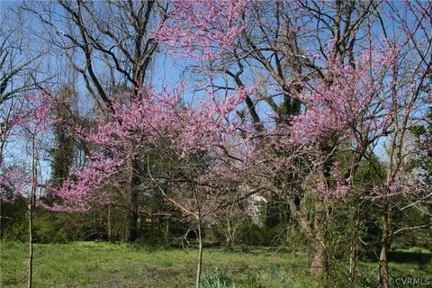 643 Gloucester Rd, Saluda, VA 23149 photo 27