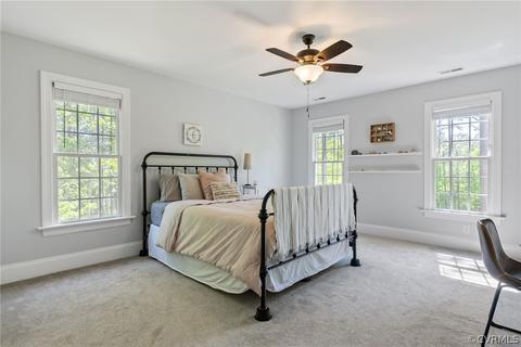 2995 Willow Trace Ln, Sandy Hook, VA 23153 photo 27
