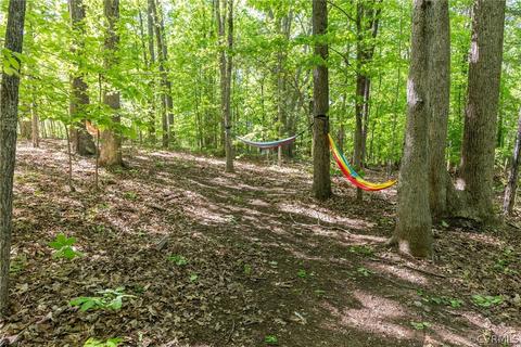 2995 Willow Trace Ln, Sandy Hook, VA 23153 photo 45