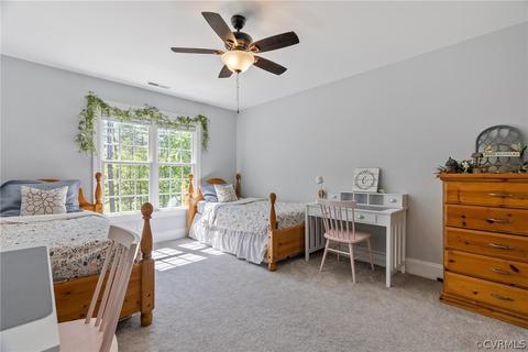 2995 Willow Trace Ln, Sandy Hook, VA 23153 photo 32