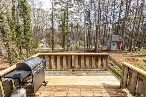 1301 Manders Knoll Ct, Midlothian, VA 23114 photo 10