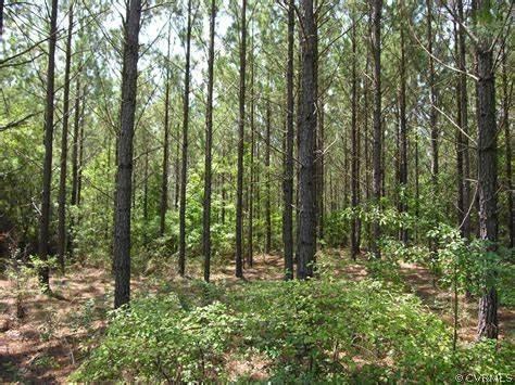 0 Scarlet Oak, Jetersville, VA 23002