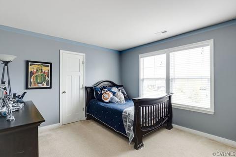 17513 Graffis Ter, Moseley, VA 23120 photo 30