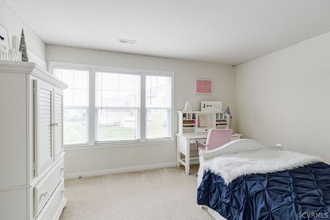 17513 Graffis Ter, Moseley, VA 23120 photo 35