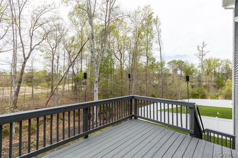 17513 Graffis Ter, Moseley, VA 23120 photo 38
