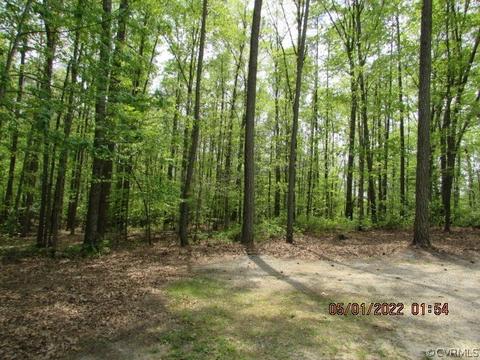 6469 Boundary Run Dr, Mechanicsville, VA 23111 photo 41