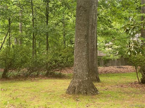 2645 Salisbury Rd, Midlothian, VA 23113 photo 5