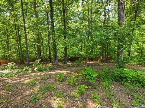 13631 Trilithon Rd, Midlothian, VA 23113 photo 29