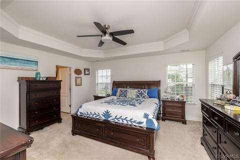 17537 Ruby Lake Ter, Moseley, VA 23120 photo 19