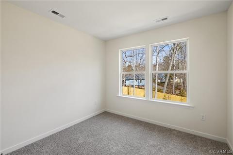12224 Lightning Bug Loop, Midlothian, VA 23112 photo 17