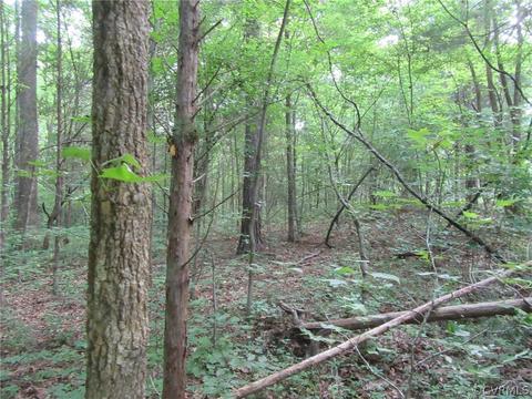 lot A1 Wilkinson Rd, Dinwiddie, VA 23841