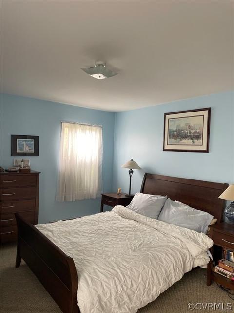 267 Locust Point Ln, Wake, VA 23176 photo 9