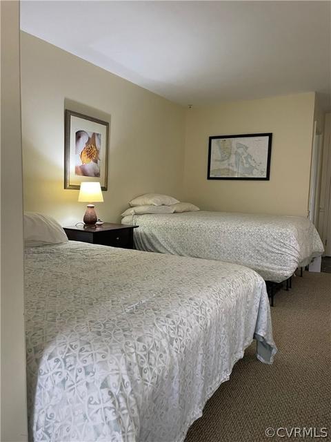 267 Locust Point Ln, Wake, VA 23176 photo 19
