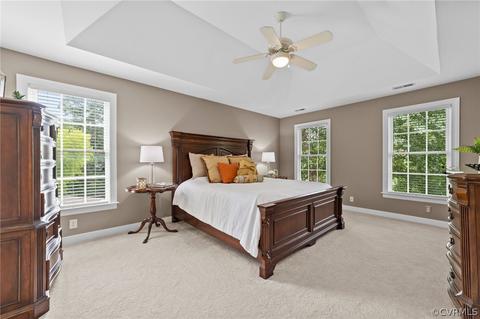 3207 Fox Hurst Dr, Midlothian, VA 23113 photo 24